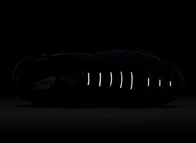 Nike Air Max Plus Tn