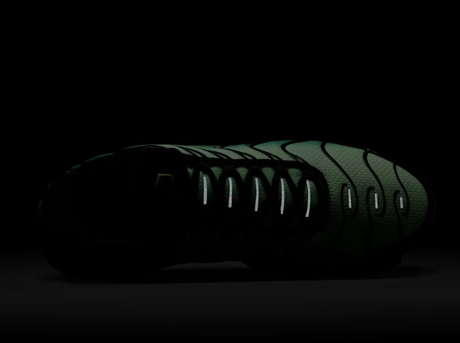 Nike Air Max Plus Tn