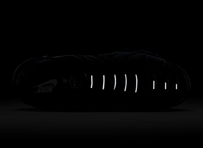 Nike Air Max Plus Tn